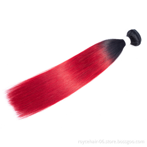 Royce 10A 11A Grade Raw Virgin Indian Temple Hair Ombre Colors 100% Human Hair bundles with Closure